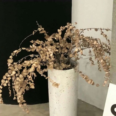 Furry数位板绘画入门技巧Furry群